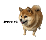 880429649