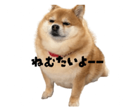 880429650