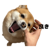 880429652