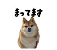 880429653