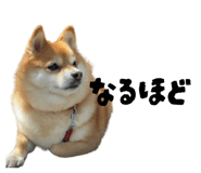 880429654