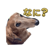 880429766