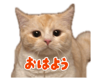 880430017