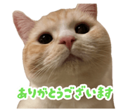 880430019