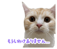 880430020