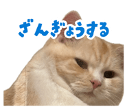 880430022