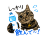 880430249