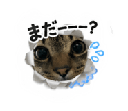 880430259