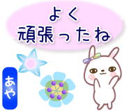 880431487