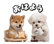 880431749