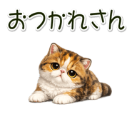 880453553