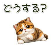 880453577