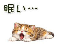 880453582