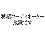 880460493