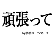 880460515