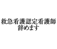 880460728