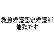 880460733