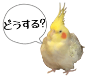 880463162