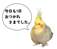 880463164