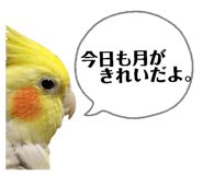 880463167