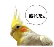 880463170