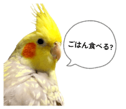 880463176