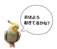 880463181