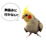 880463182