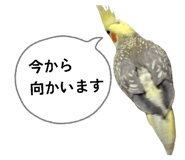 880463184