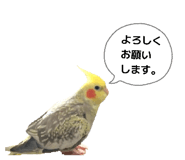 880463186