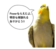 880463188