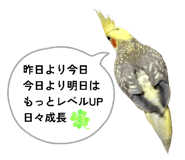 880463194