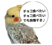 880463195