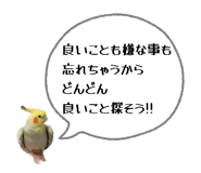 880463198