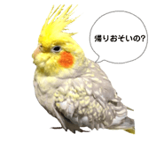 880463200