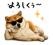 880465937