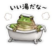 880465944