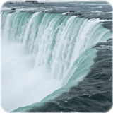 880469929