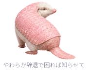 880472654