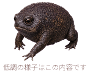 880472970