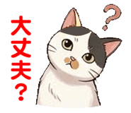 880473708