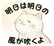 880475006