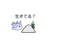 880475590