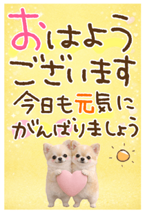 880481161