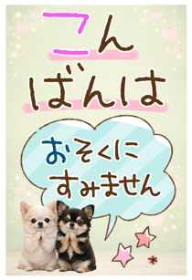880481163