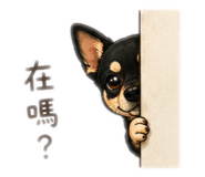 880487031