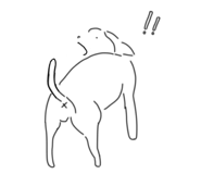 880487577