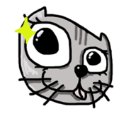 880487821