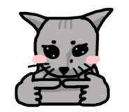 880487825