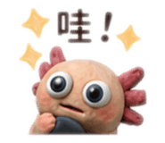 880488145